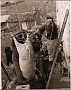 macellazione del maiale metà 900 (Luigino Tosatto)